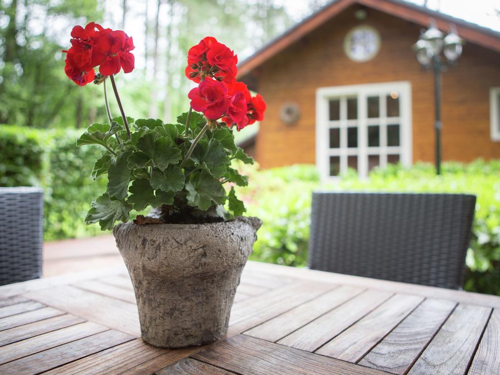 Luxurious Chalet In Oud Turnhout With Large Garden Villa Oud-Turnhout Luaran gambar