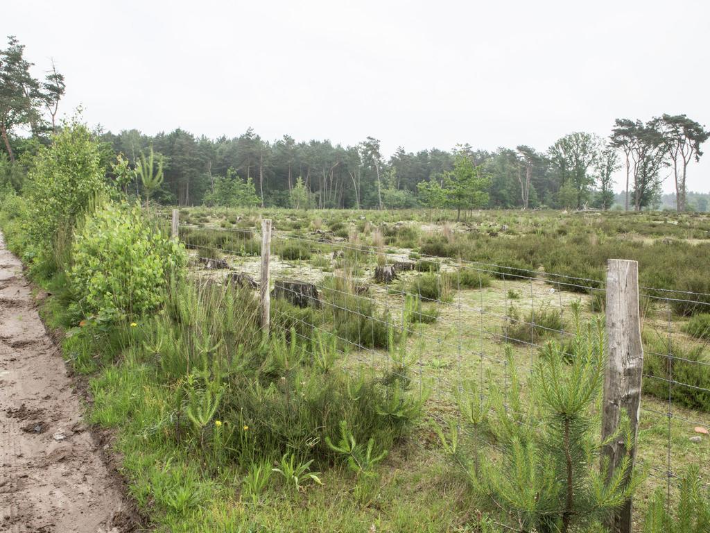 Luxurious Chalet In Oud Turnhout With Large Garden Villa Oud-Turnhout Luaran gambar